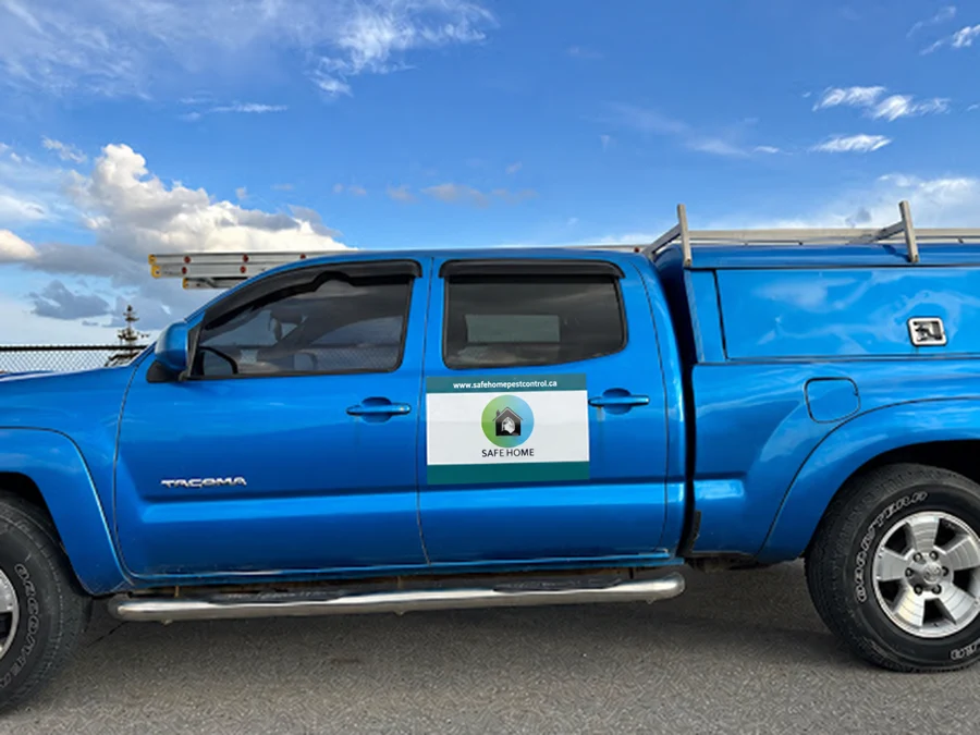 Supplied photograph of the blue Safe Home pest control service vehicle